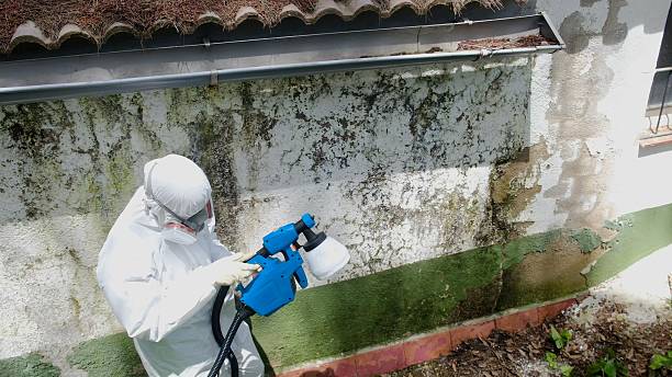 Trusted Commercial Mold Remediation service in Mifflin, PA - Cheap Mold Removal